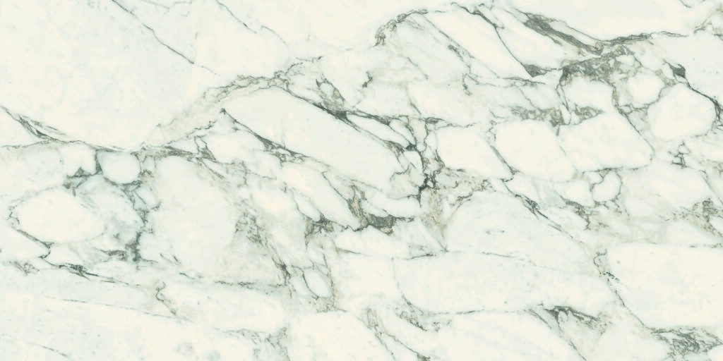 Calcutta Exotic Porcelaine